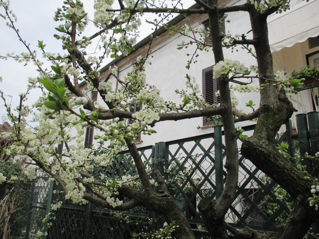 Canneto sull'Oglio Dimora & Arte B&B מראה חיצוני תמונה