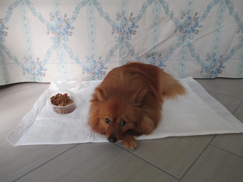 Canneto sull'Oglio Dimora & Arte B&B חדר תמונה
